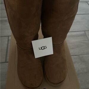 Ugg Tall boots